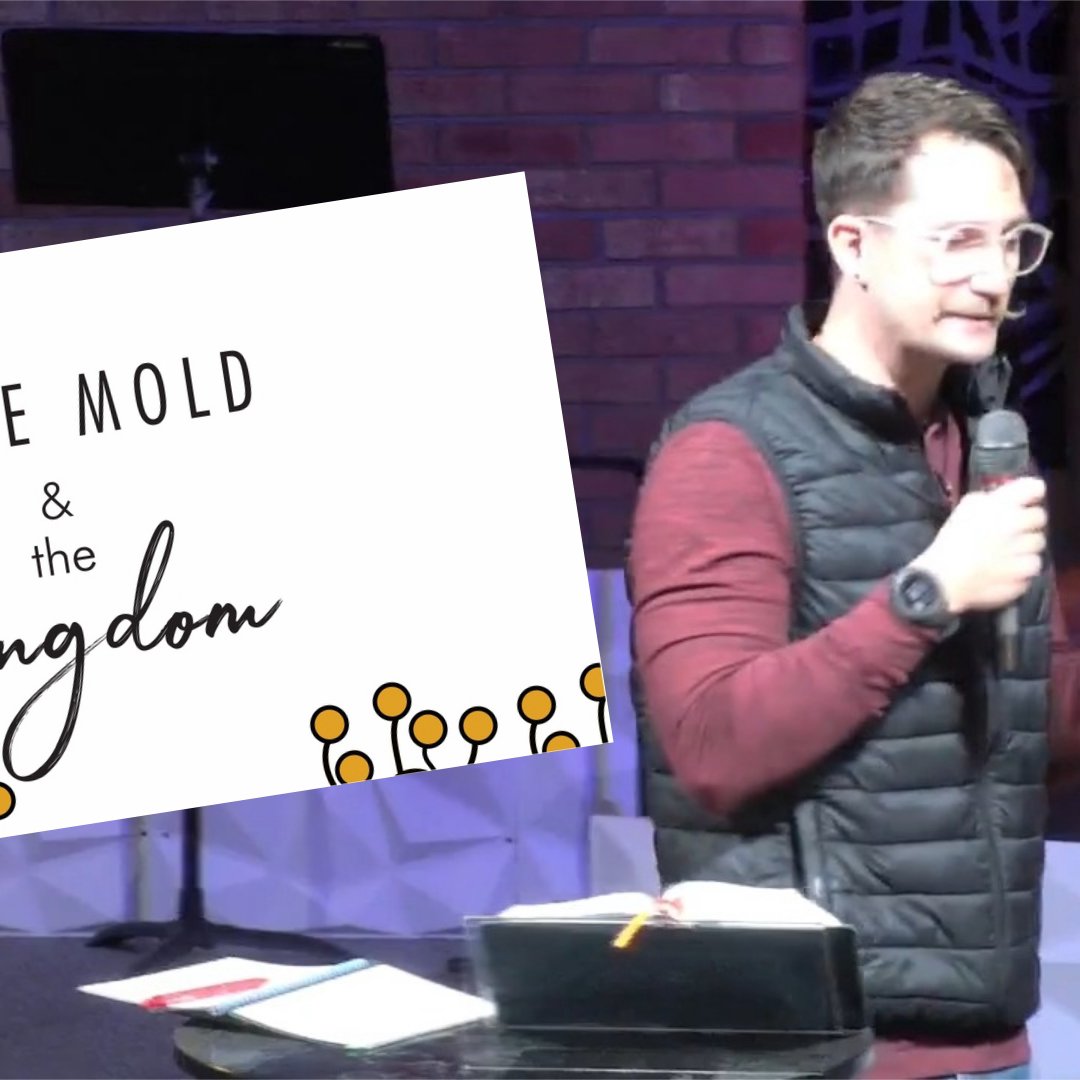 What does slime mold have to do with the Kingdom? episode artwork