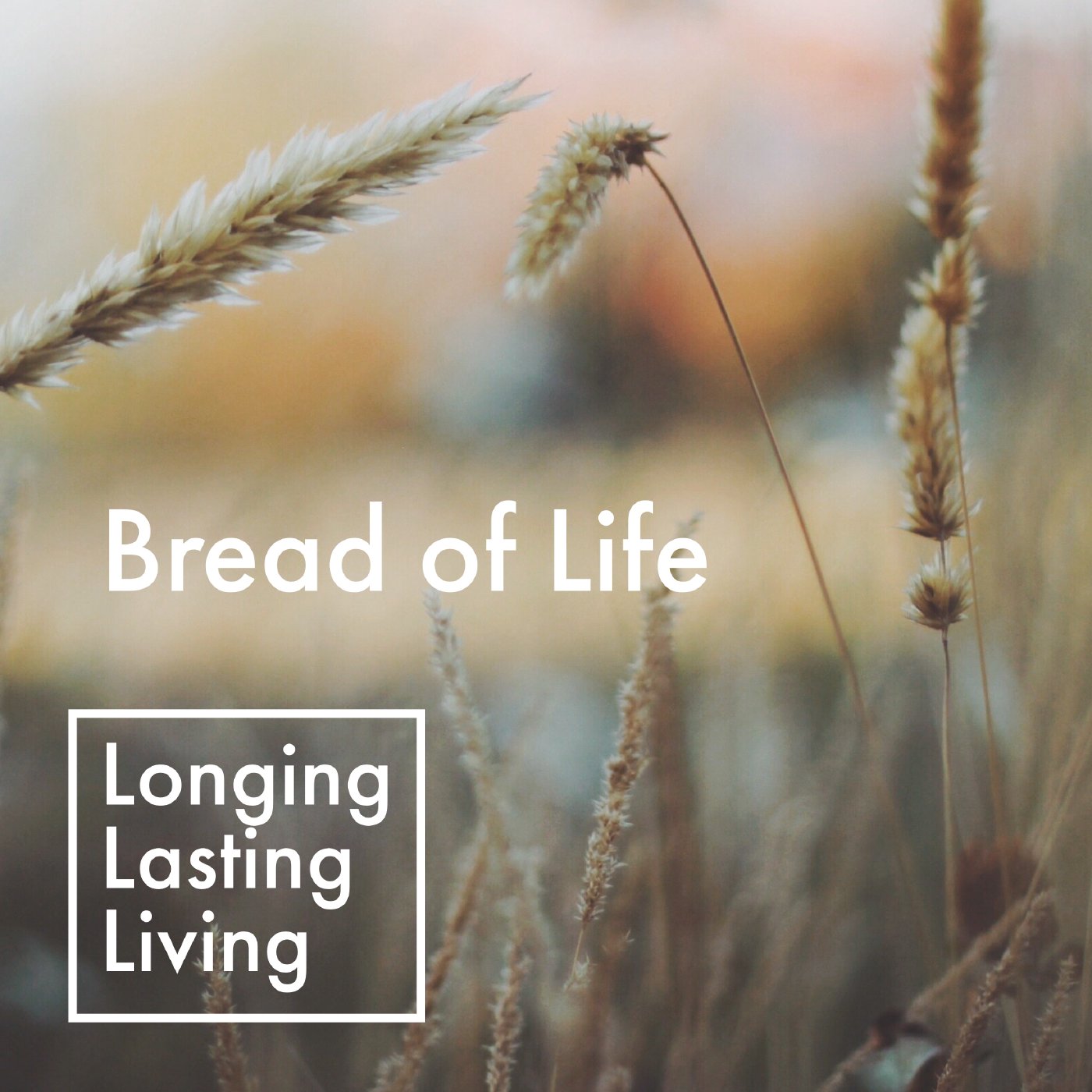 Lasting Life episode artwork