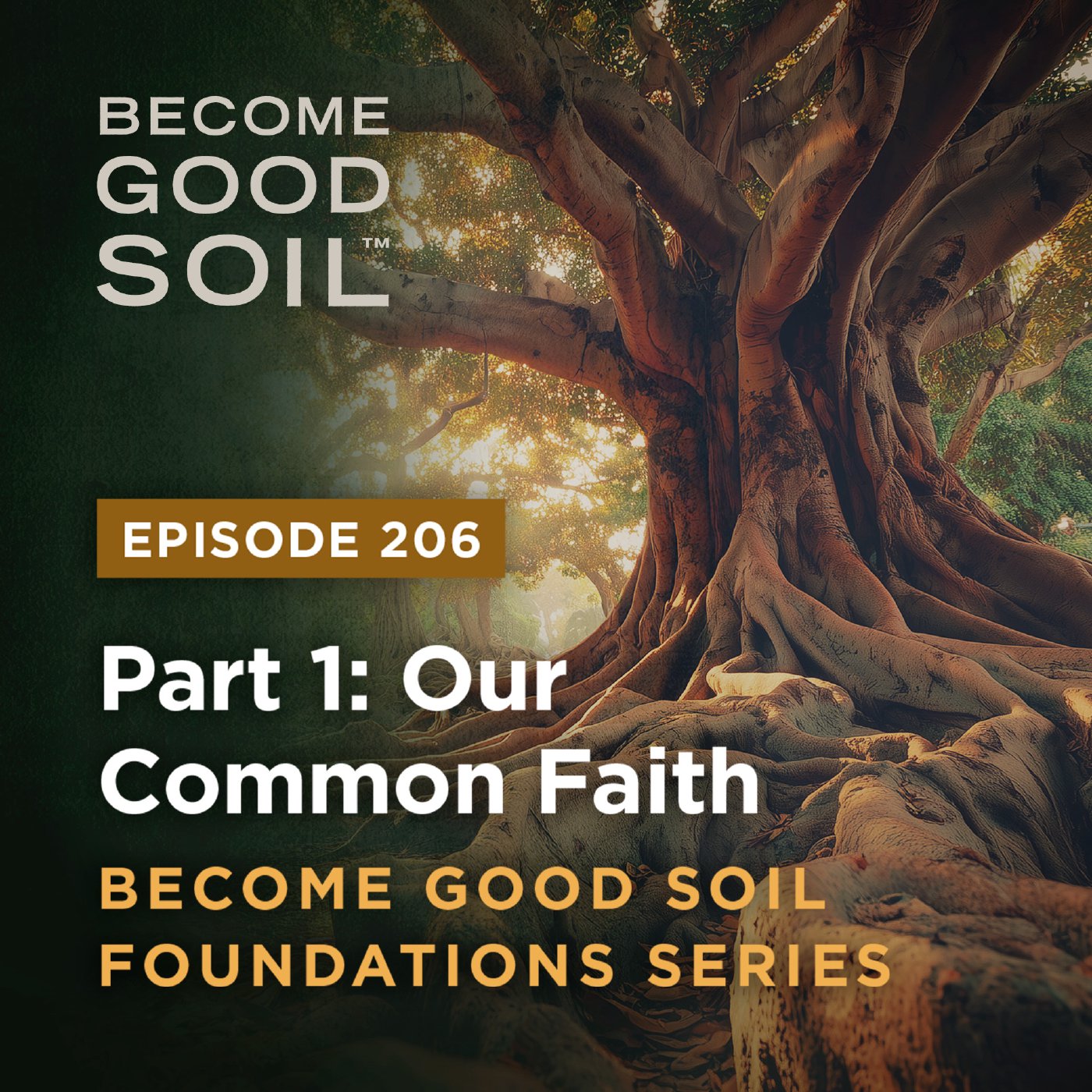 206: Our Common Faith – Become Good Soil Foundations Series (Part 1)