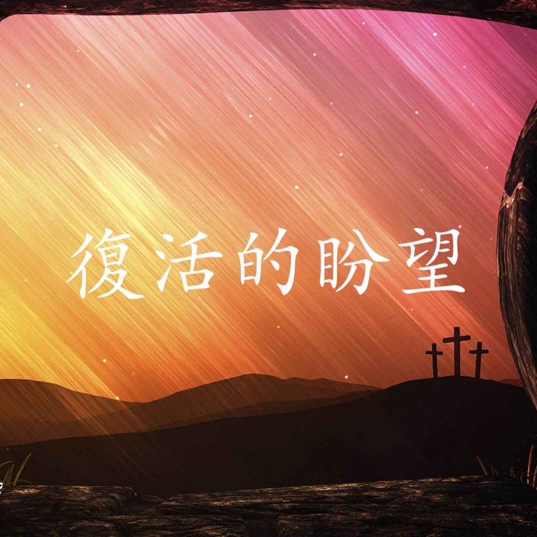 cover of episode 復活的盼望