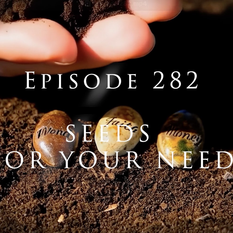 Episode 282 Seeds For Your Need