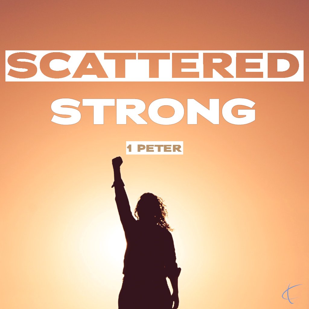 Scattered Strong: Scattered for Good episode artwork