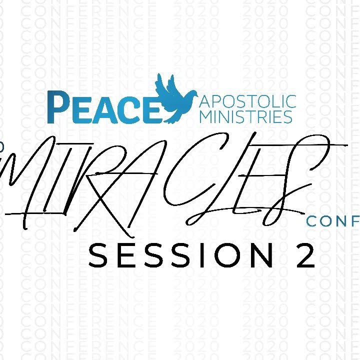Peace Miracles Conference 2020 - Session 2 episode artwork