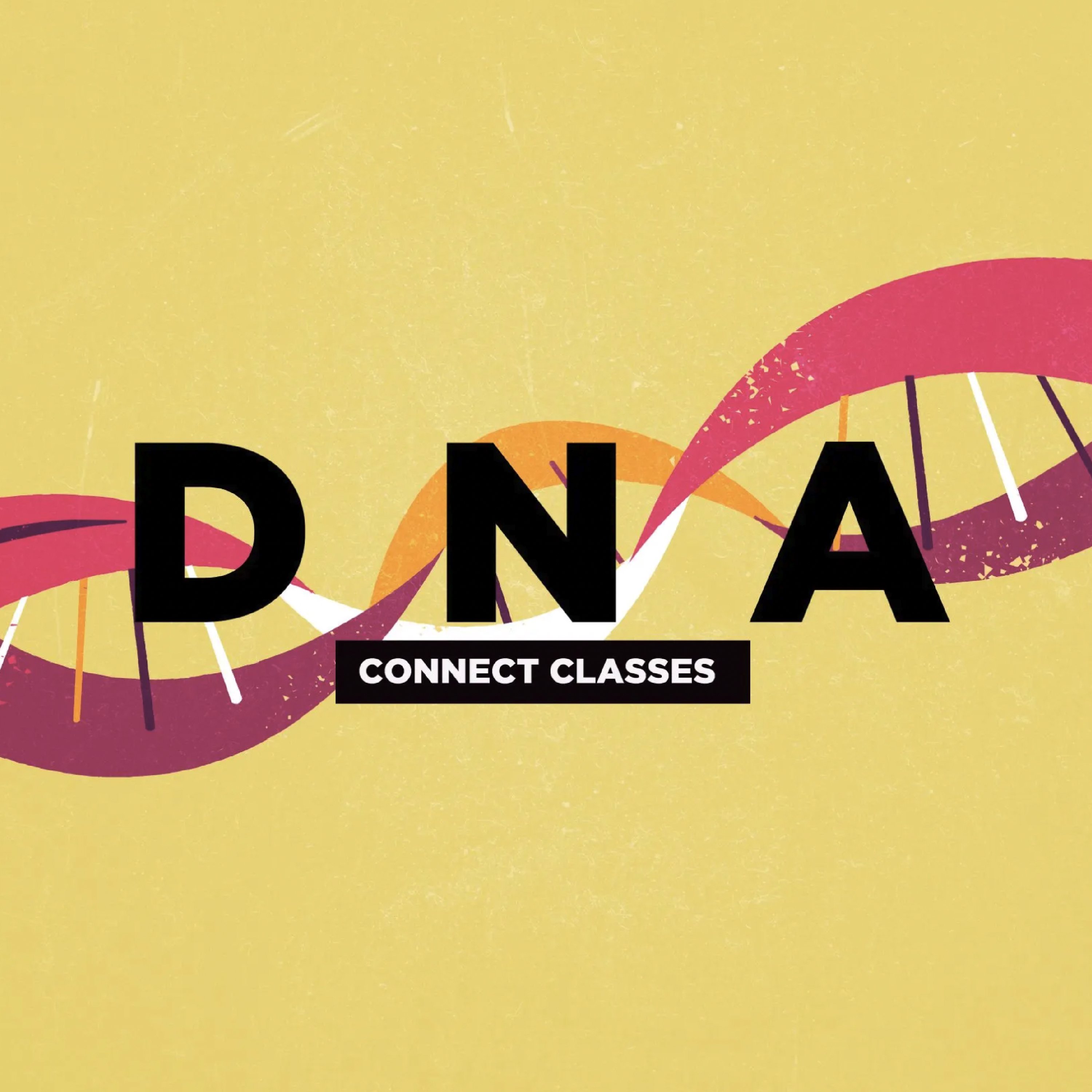 DNA Connect Classes