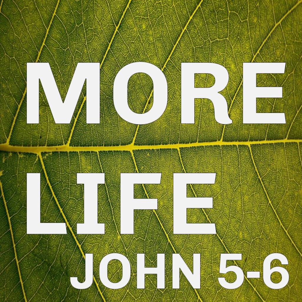 More than a Meal