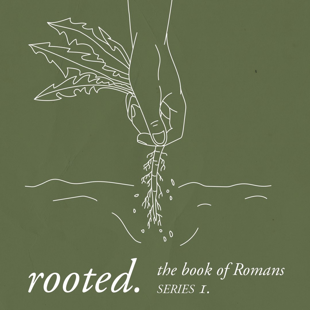 Rooted - Week 12 - Stronger than Sin episode artwork