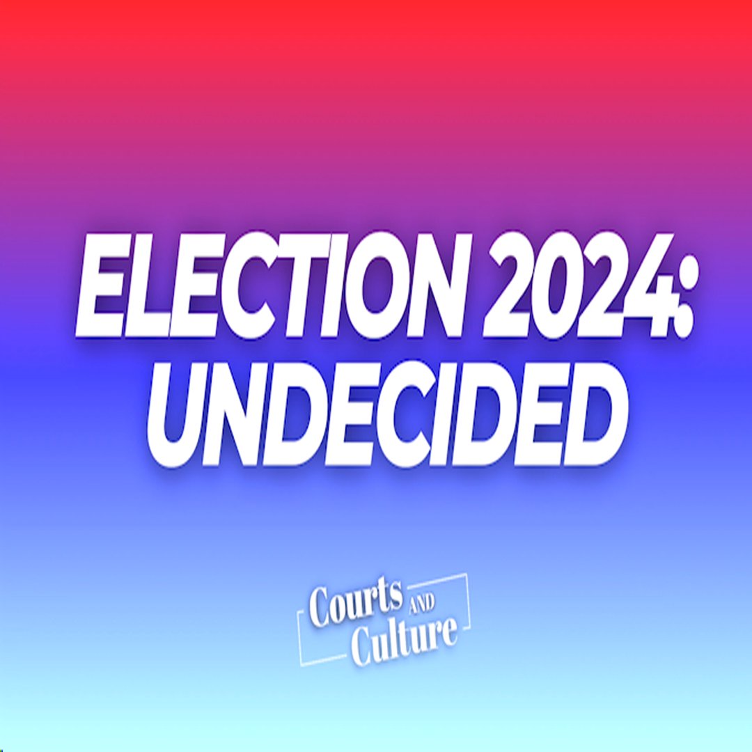 Election 2024: Undecided episode artwork