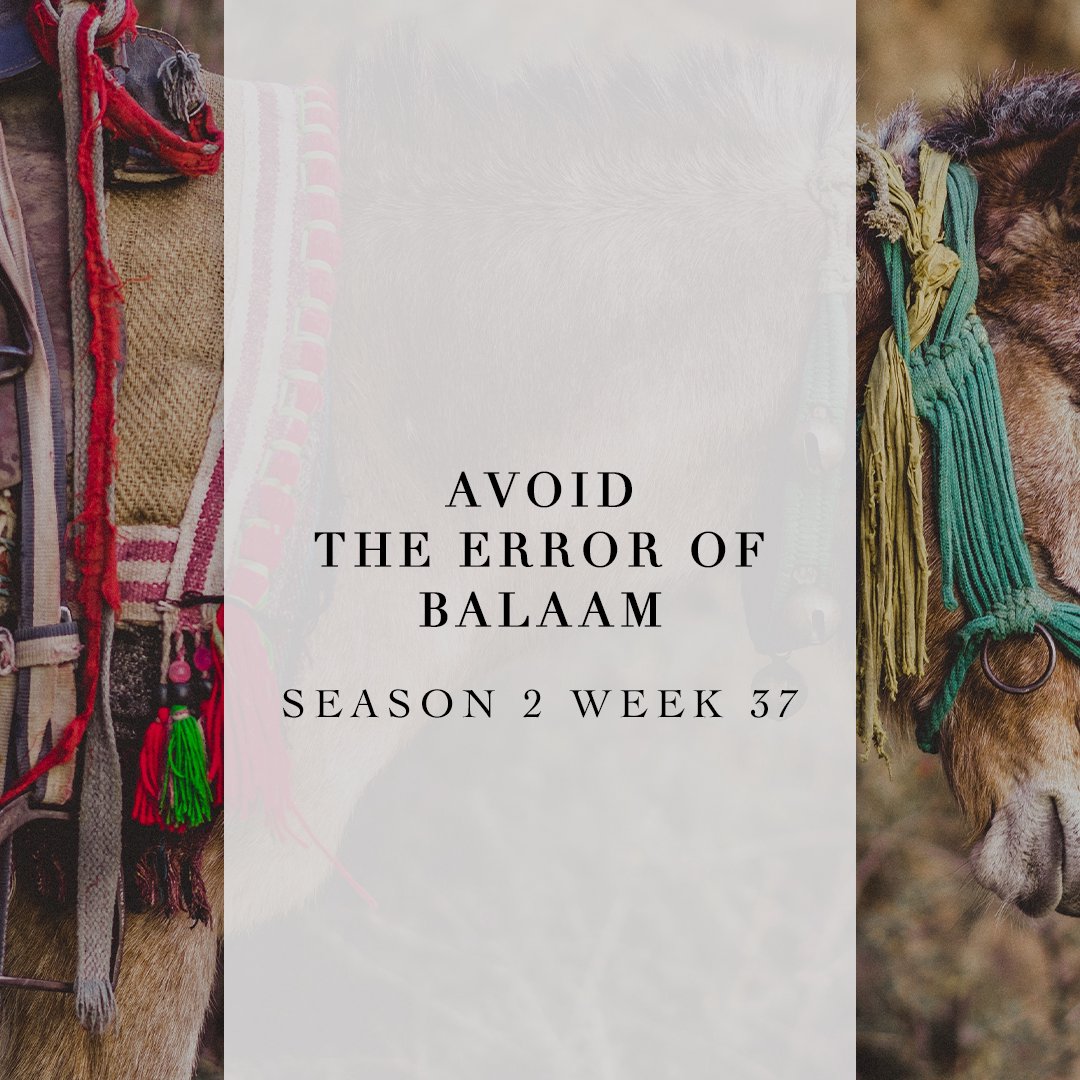 Avoid the Error of Balaam episode artwork