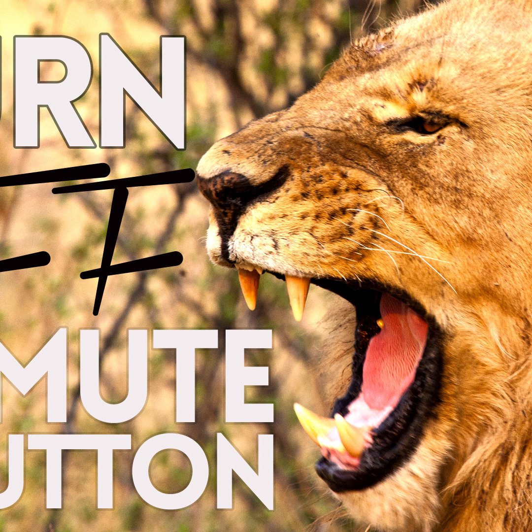 Turn Off the Mute Button episode artwork