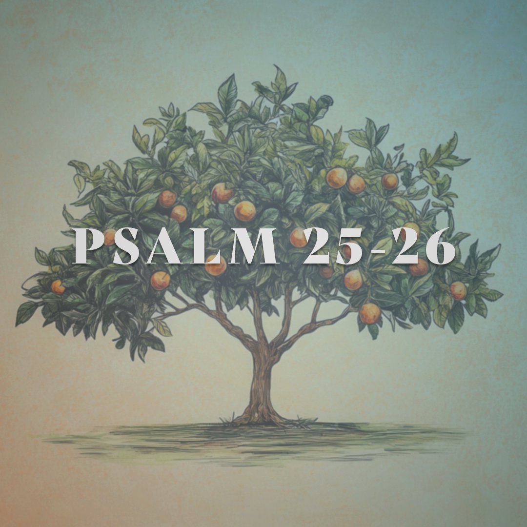Psalm 25-26