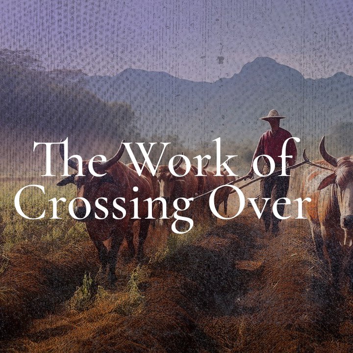 The Work of Crossing Over, Part 3