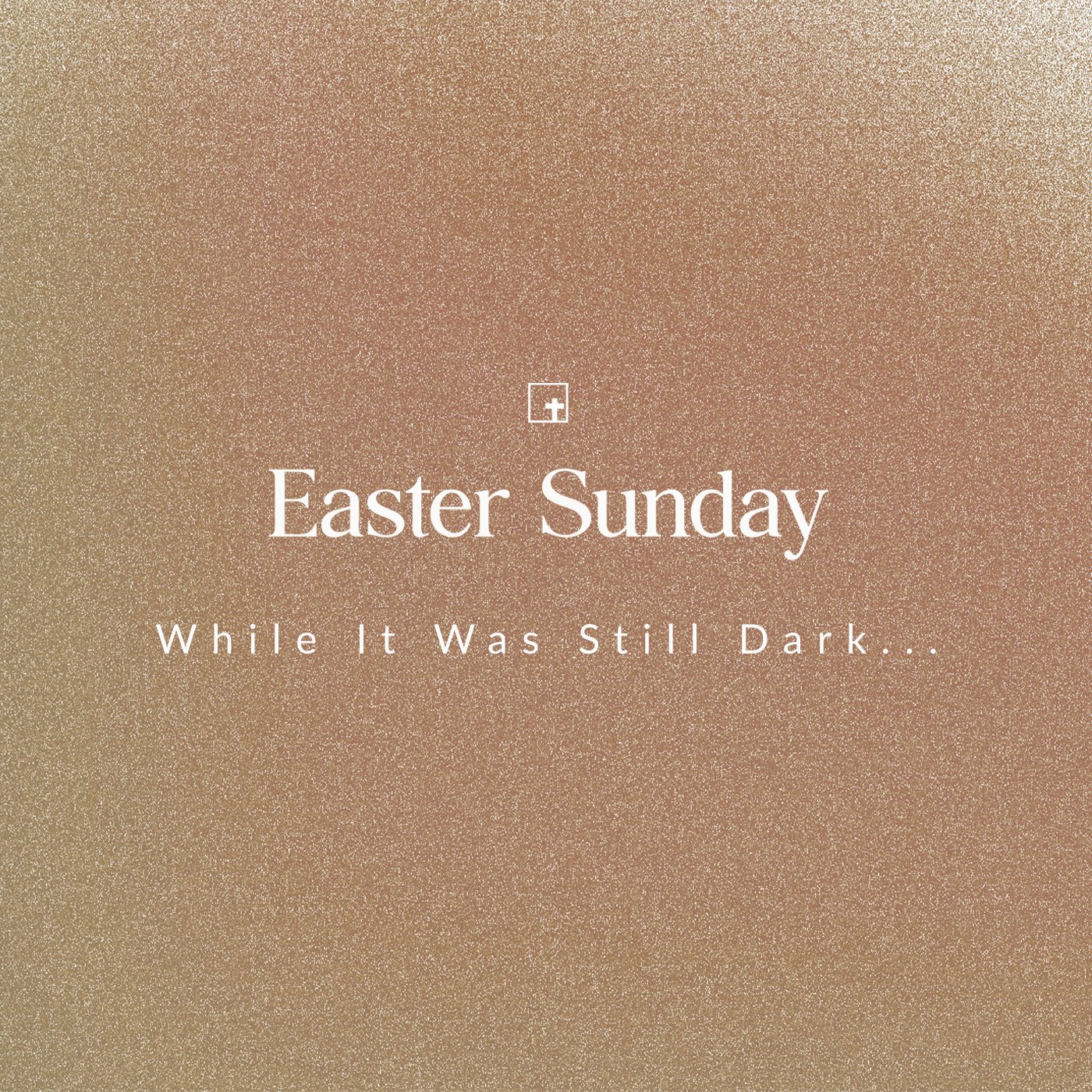 cover of episode While It Was Still Dark...