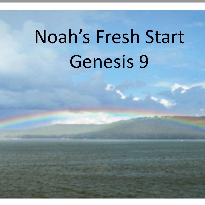 Noah's Fresh Start