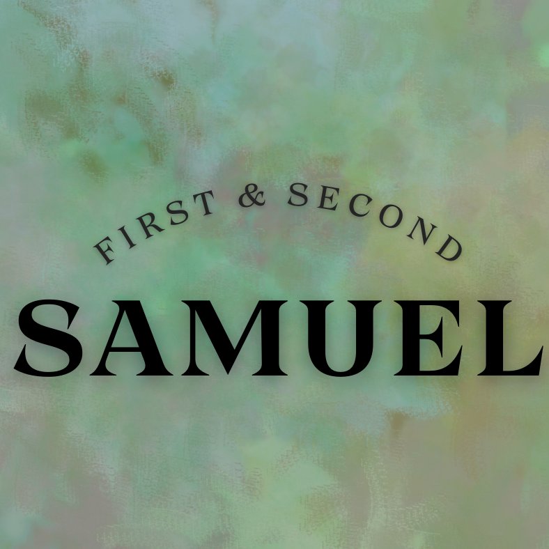 1 Samuel 30 episode artwork