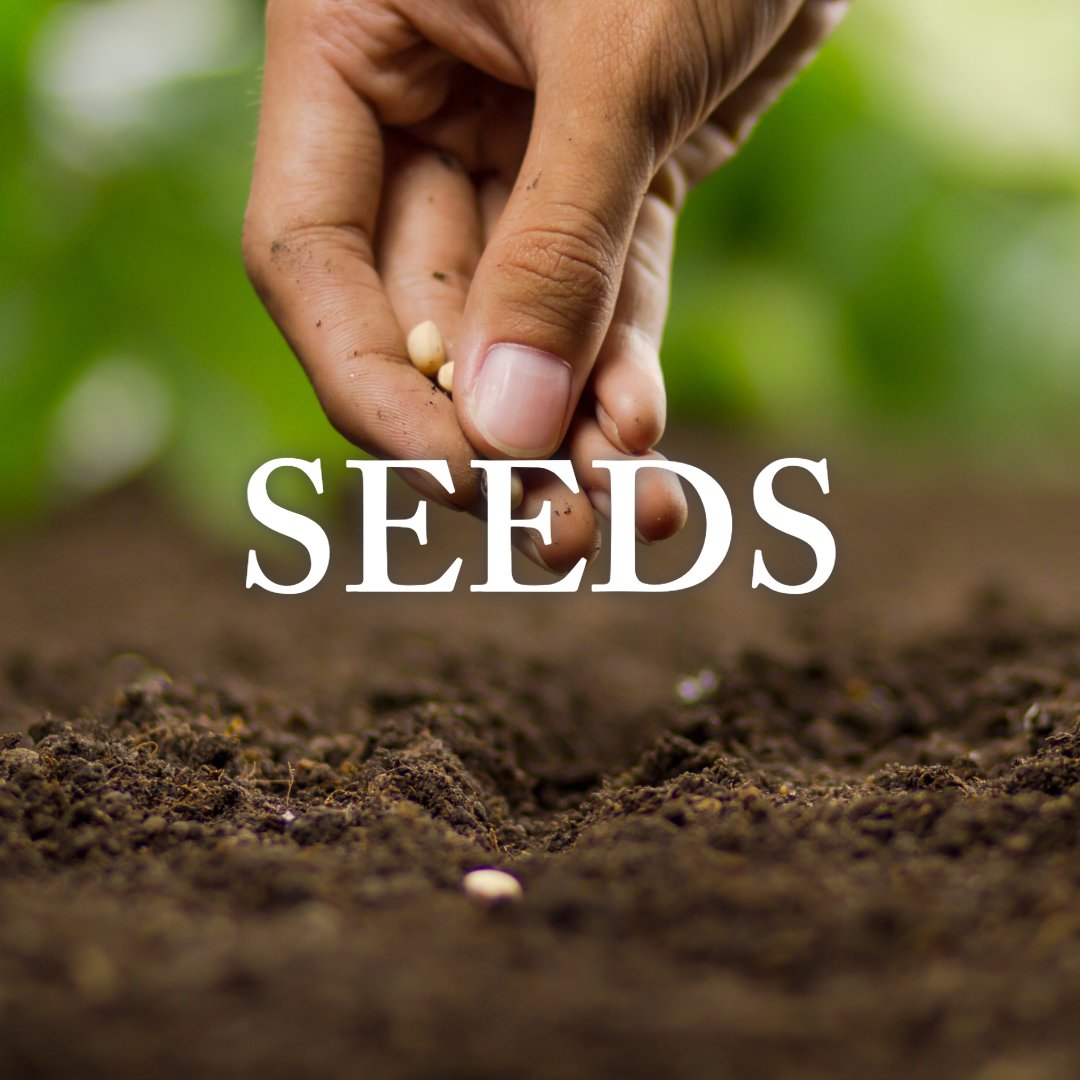 Destiny City Church Sermon of the Week