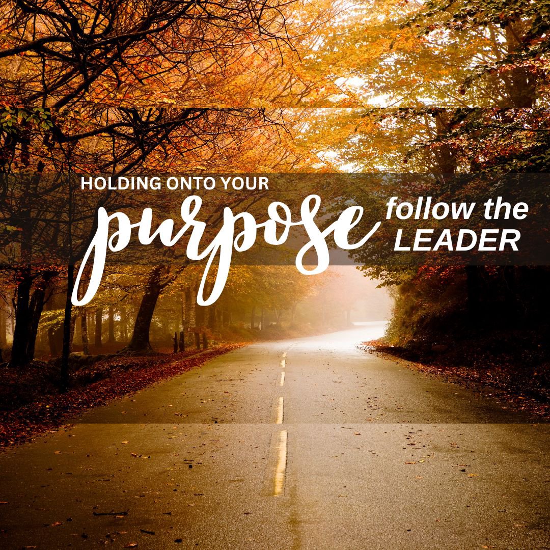 Holding Onto Your Purpose Follow the Leader