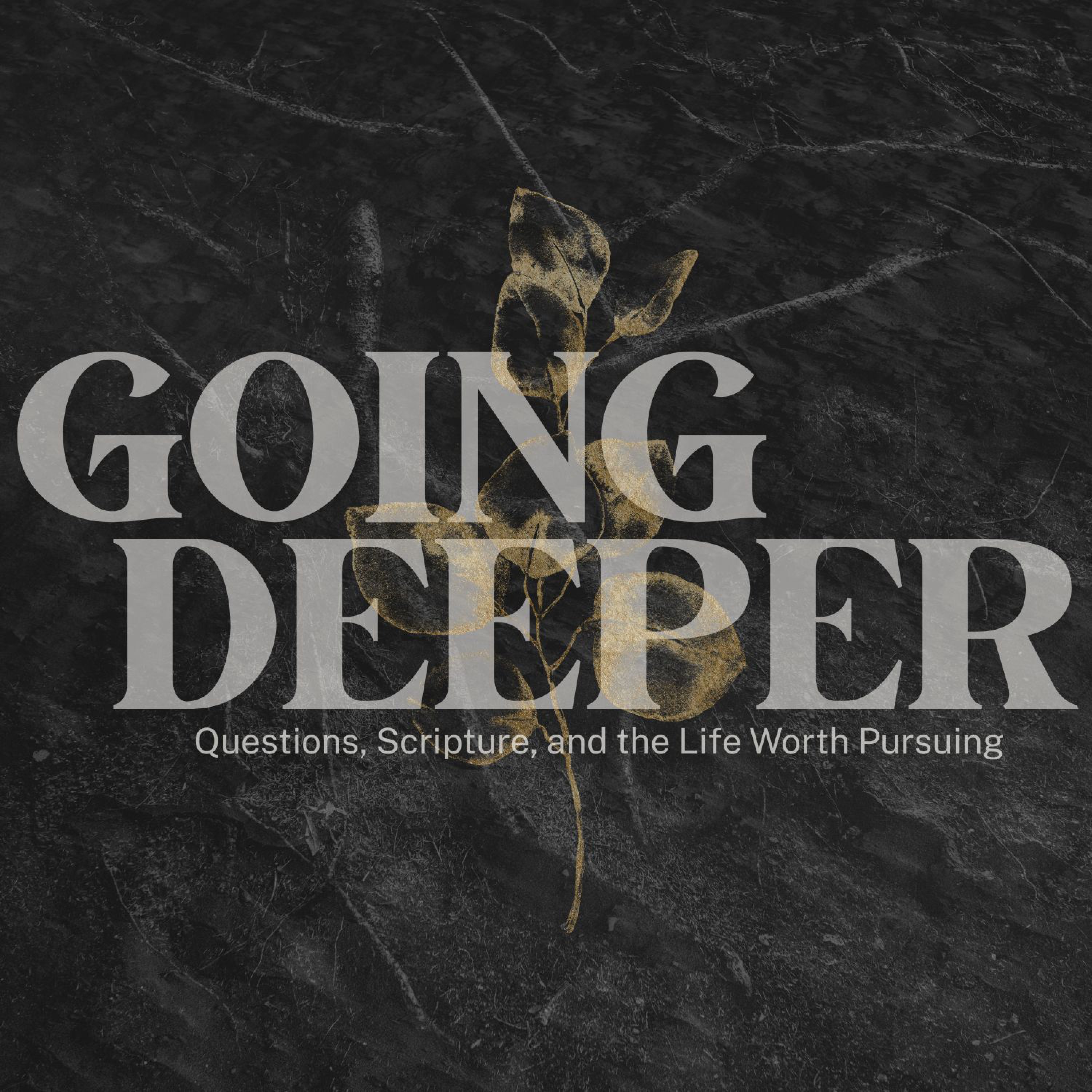 Going Deeper: Questions, Scripture, and the Life Worth Pursuing cover art