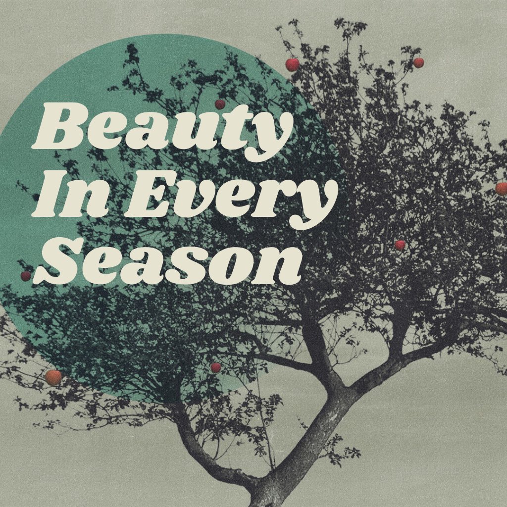 Beauty In Every Season episode artwork