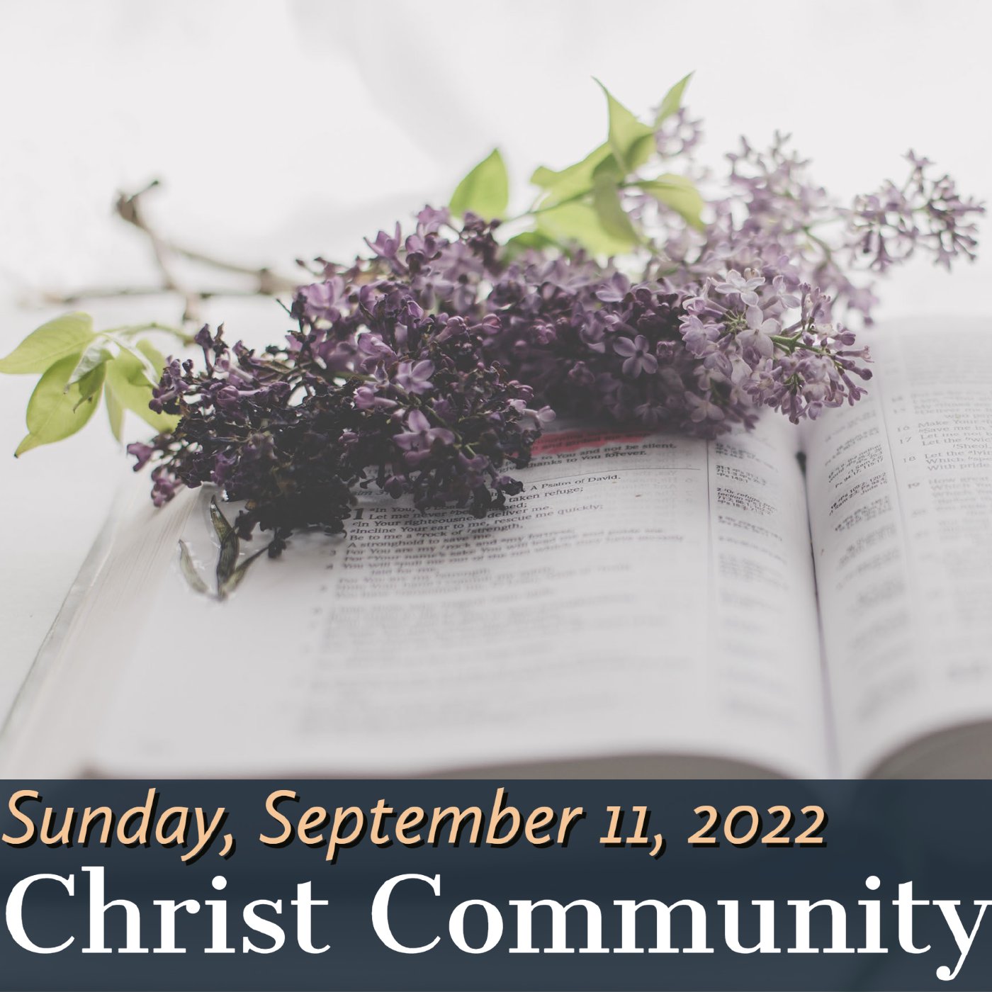 Christ Community Gainesville