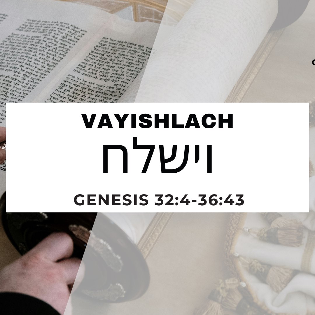 CMC Parasha Vayishlach 5786