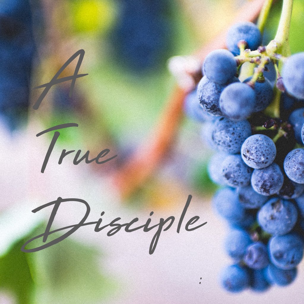 GracePoint Church - Messages