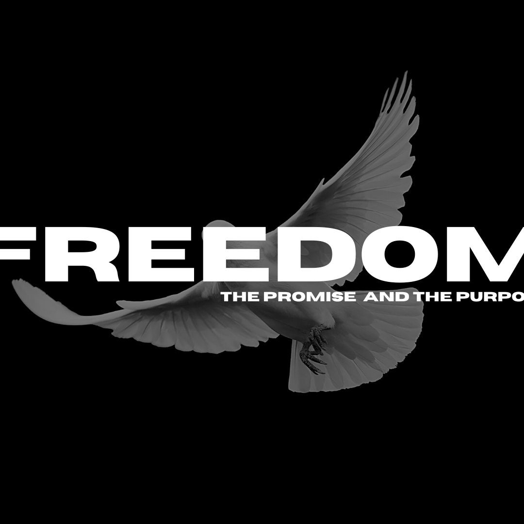 Freedom (Week 2)