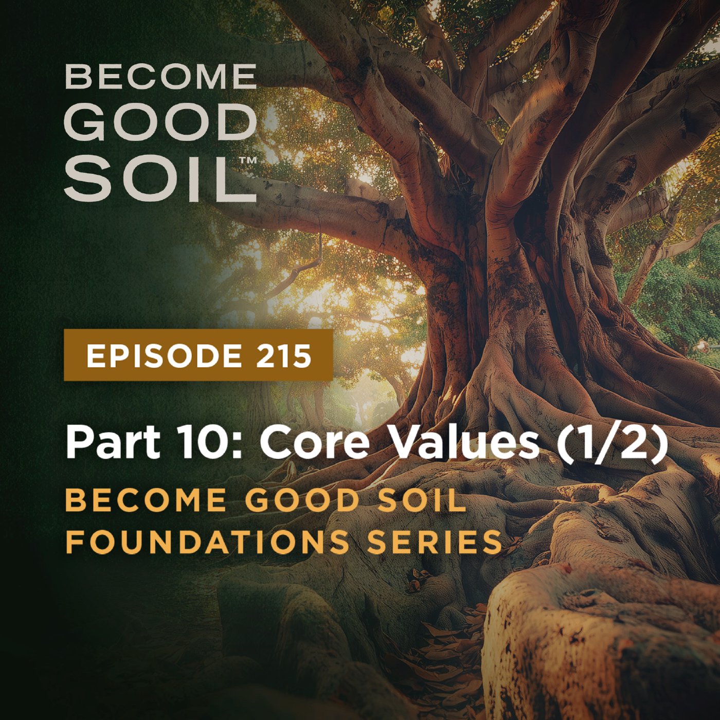 215: Core Values (1/2) – Become Good Soil Foundation Series (Part 10) episode artwork