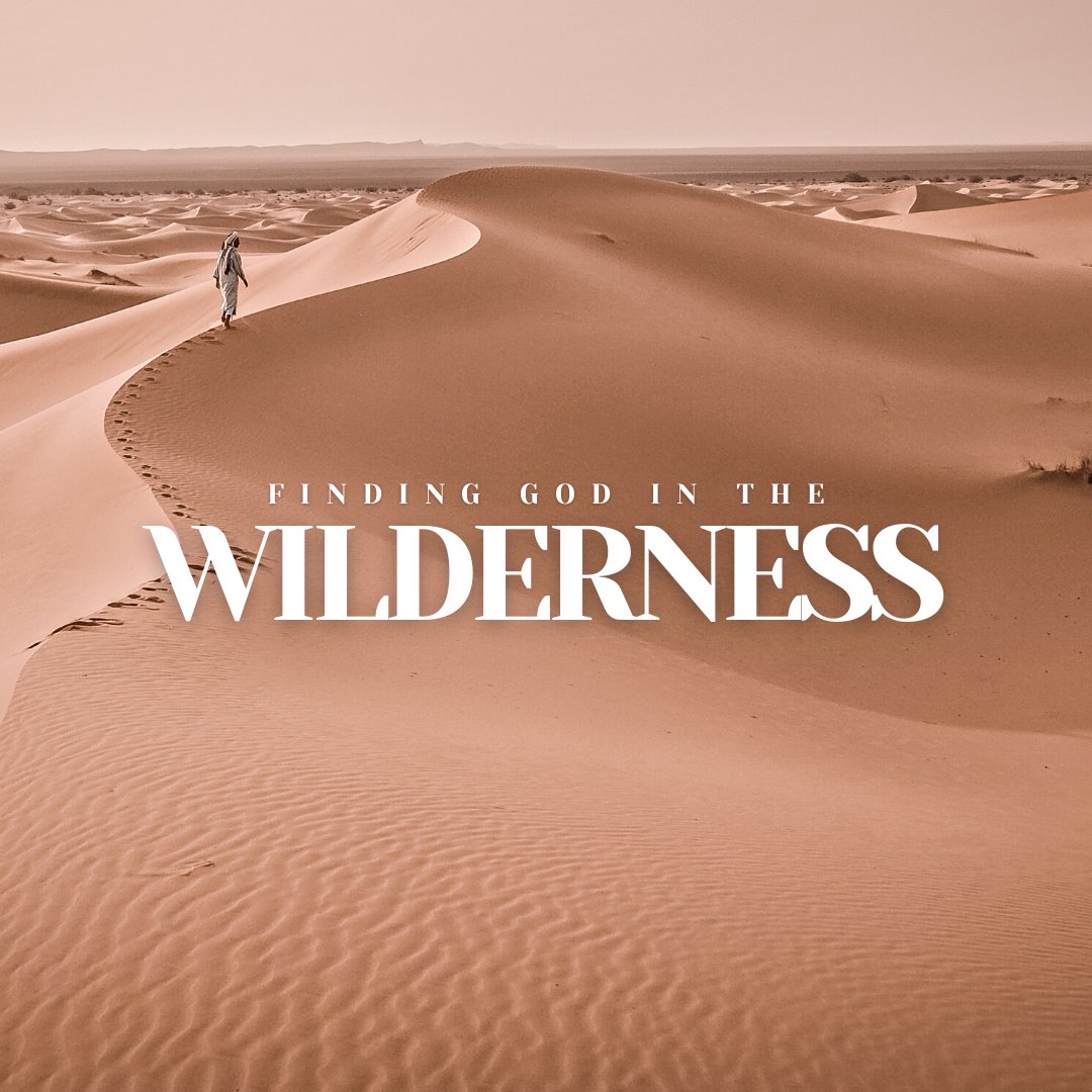 The Wilderness The Wilderness