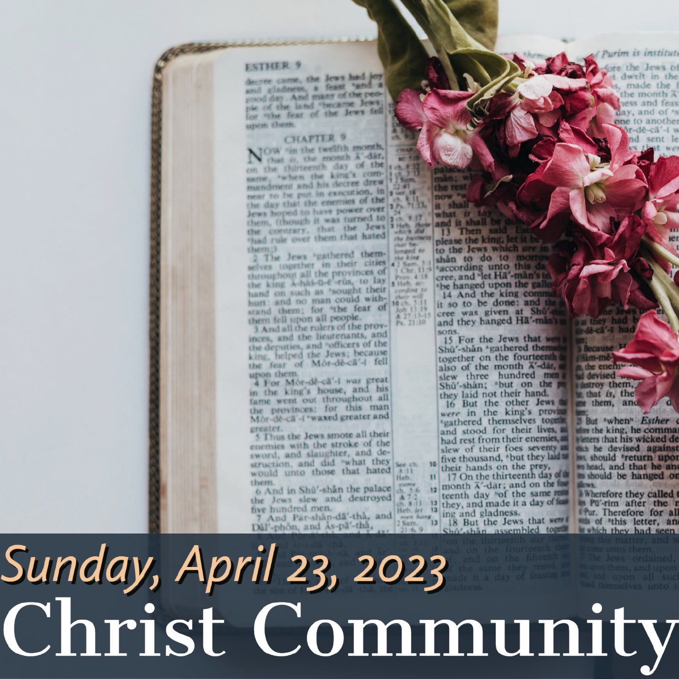 Christ Community Gainesville