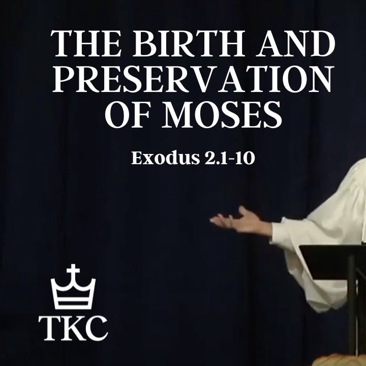 The Birth and Preservation of Moses | Exodus episode artwork