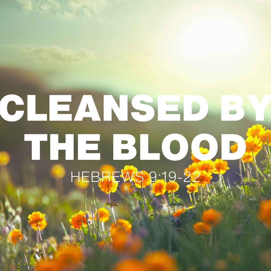 Daily Devotional – Hebrews 9:19–22