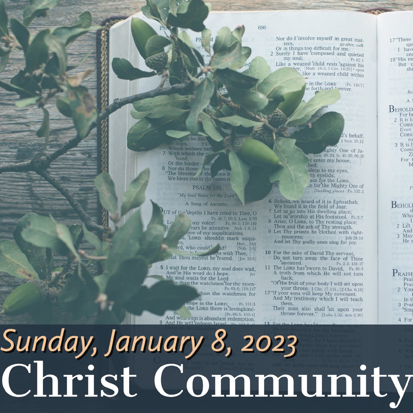 Christ Community Gainesville