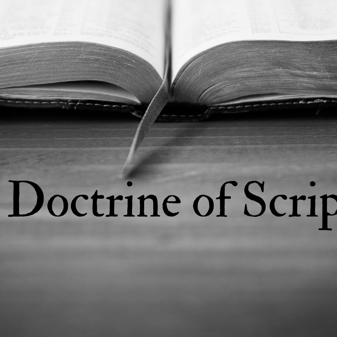 Illumination/Bible Study Practicum