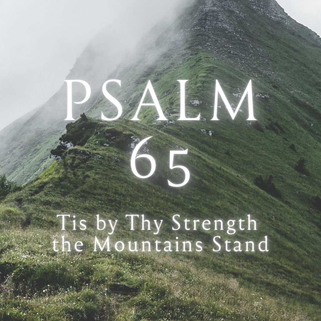 Psalm 65 - Tis By Thy Strength The Mountains Stand episode artwork