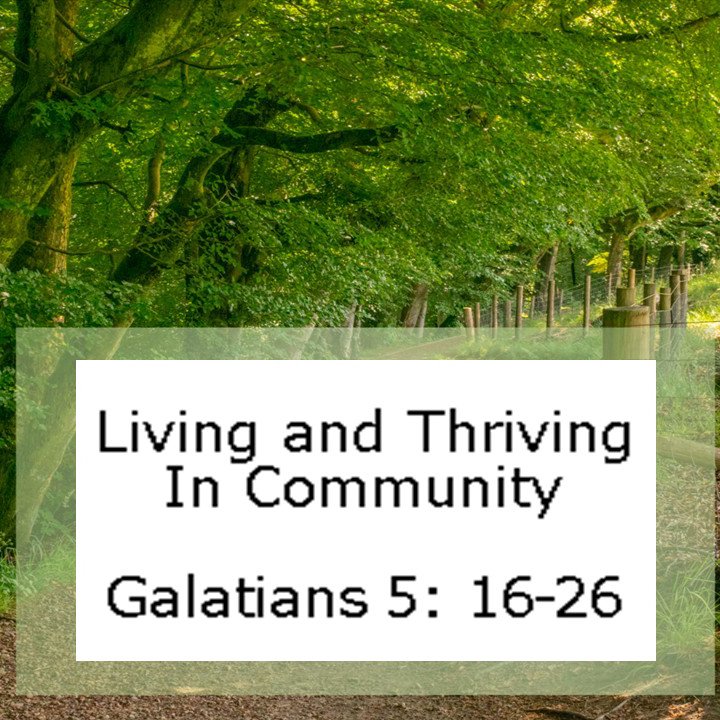 Living And Thriving In Community