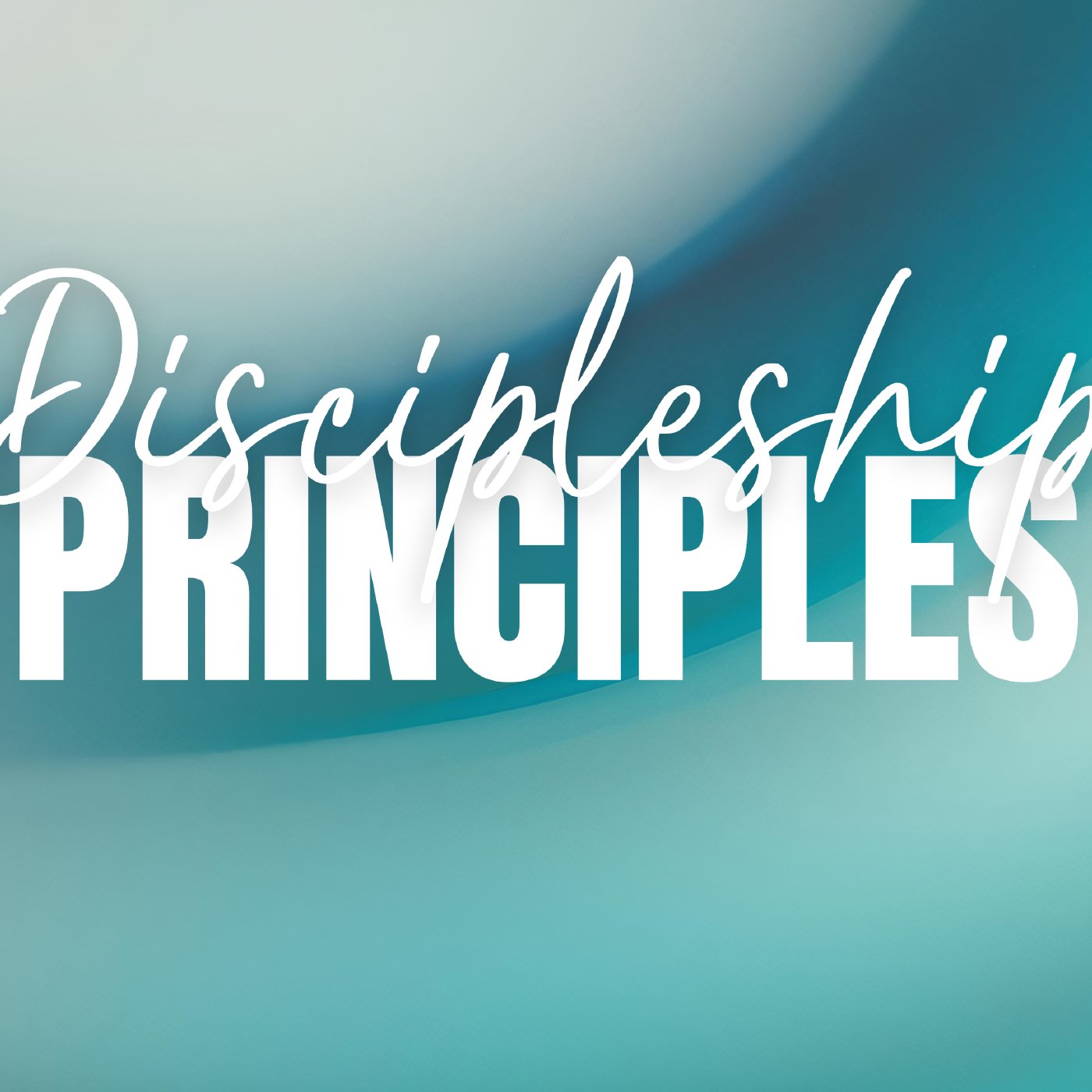 Discipleship Principles