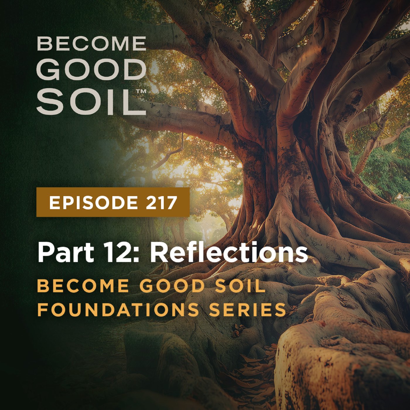 217: Reflections – Become Good Soil Foundations Series (Part 12)