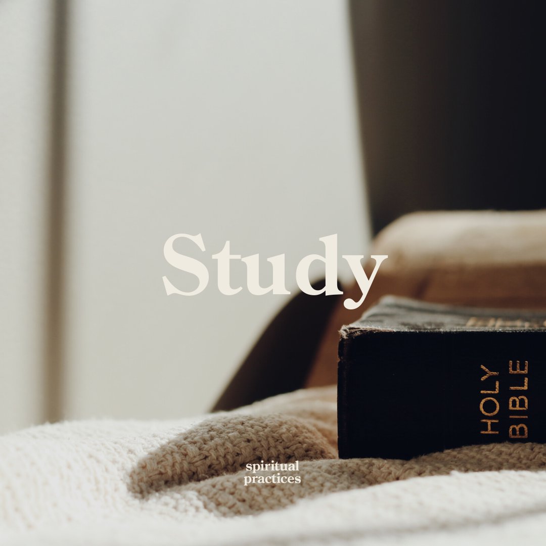 Study episode artwork