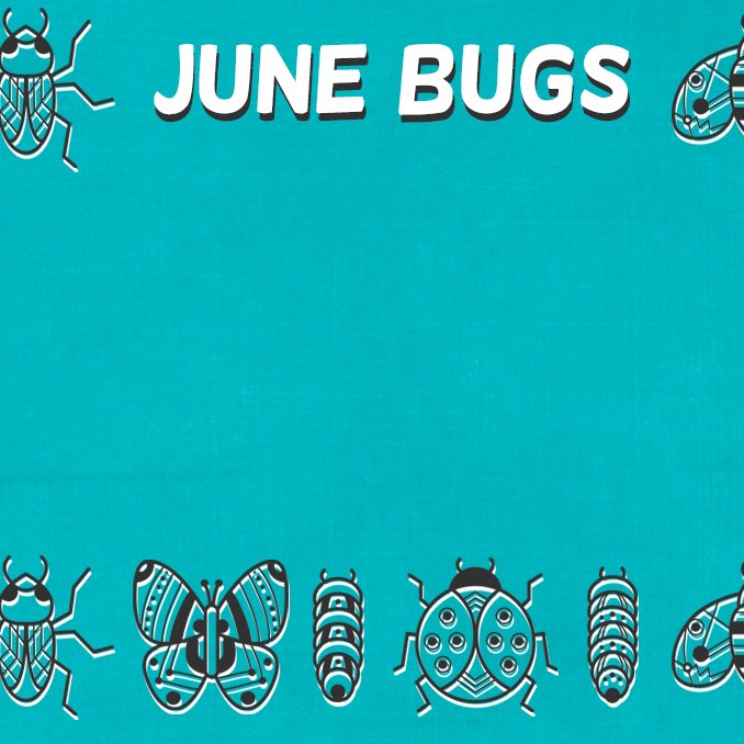 June Bugs episode artwork