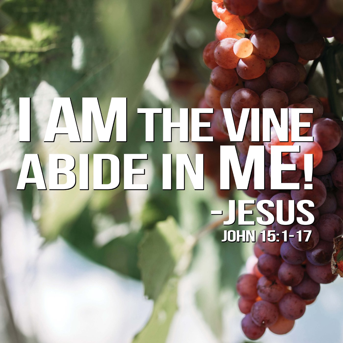 Family Church PC - Weekly Sermons