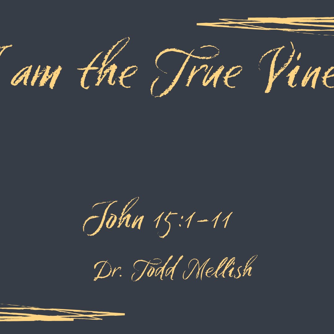John 15:1-11 - "I am the True Vine" - July 6 2025 episode artwork