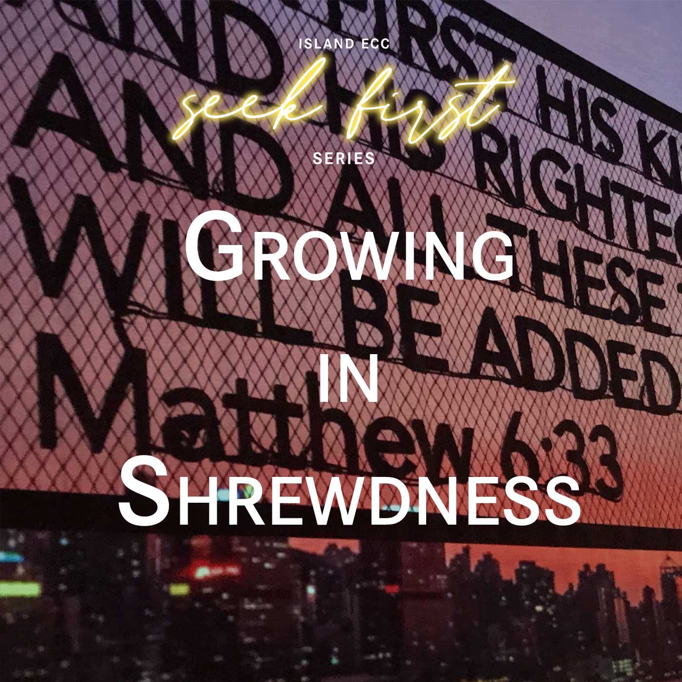 Seek First: Growing in Shrewdness episode artwork