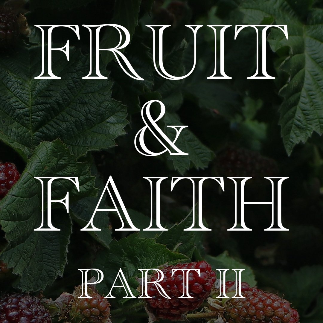 Mental Assent or Faith 🤔 || Fruit and Faith 📖 pt. 2 ll Dr. Dean Shropshire || 2nd Service