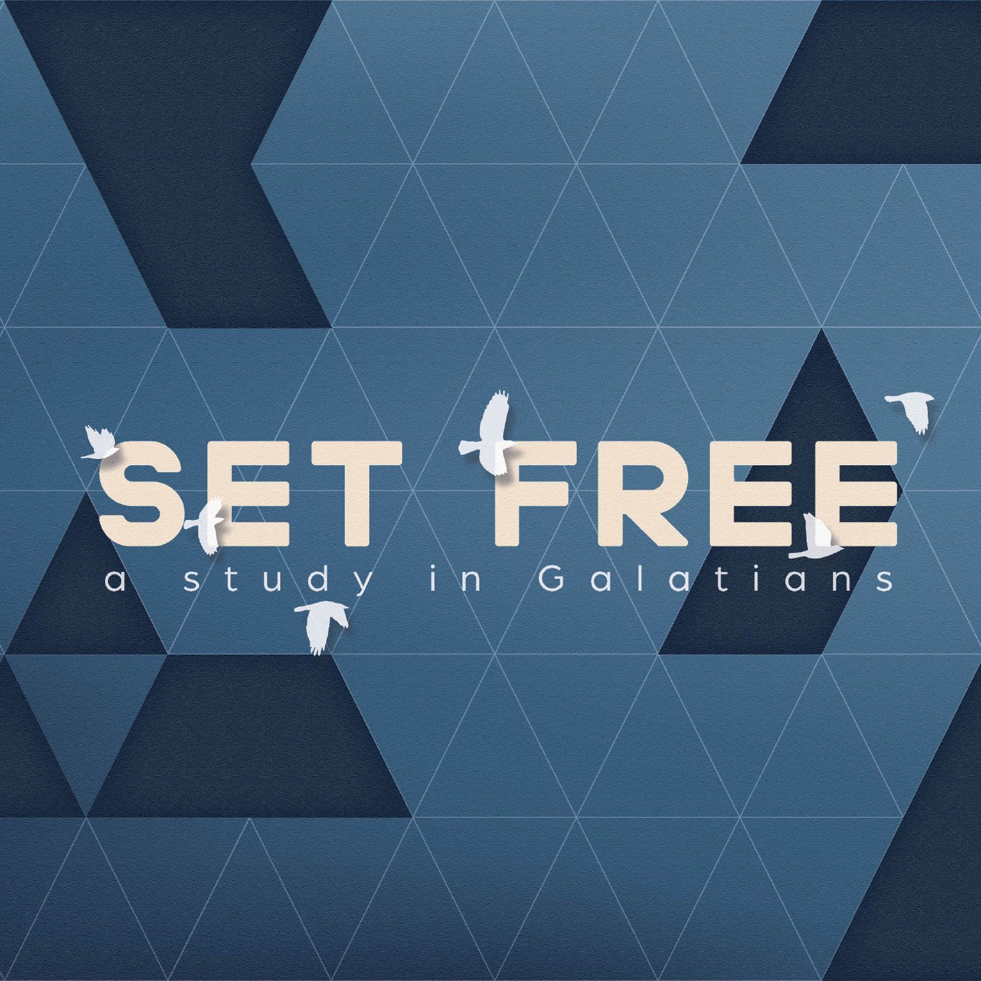 The Only Win that Counts | Galatians 6:11-18 episode artwork