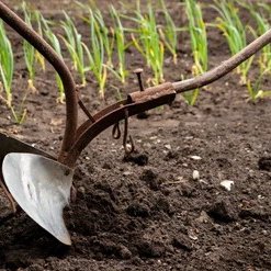 The Gospel in Action 2