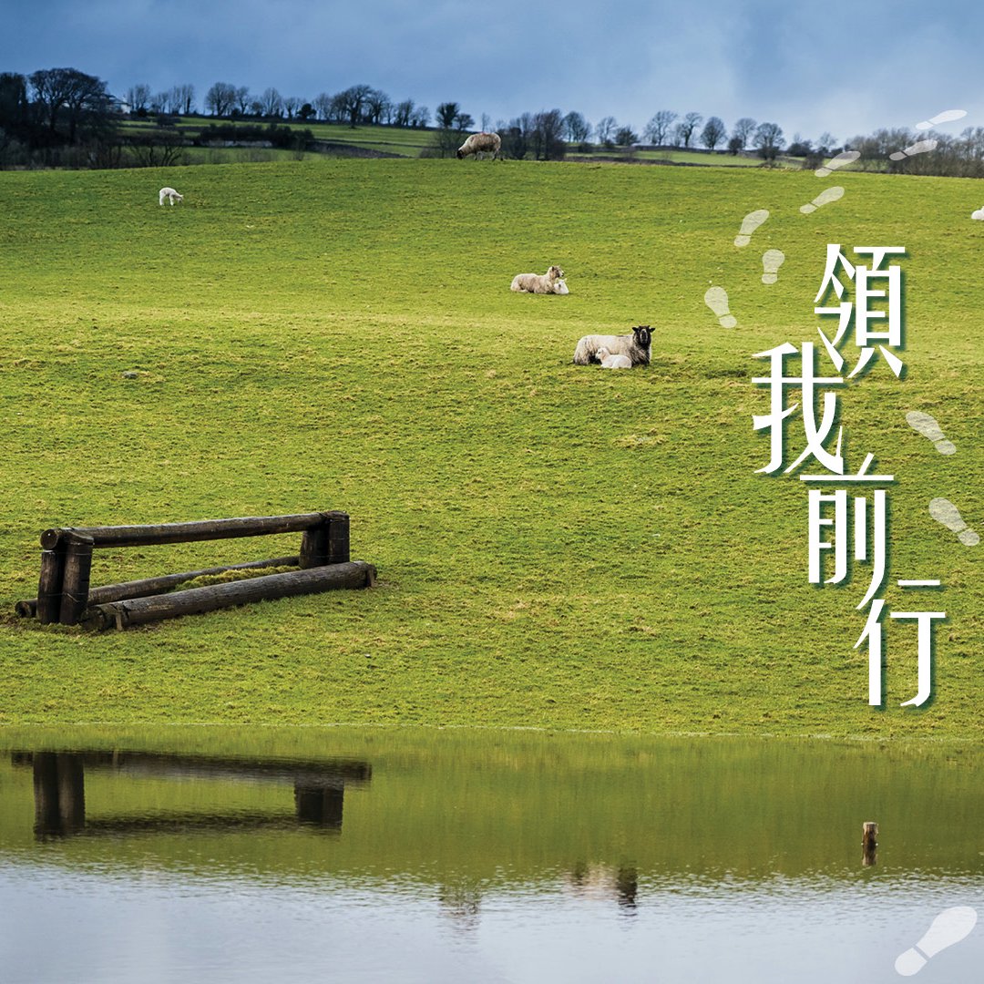 （二）全程導引 episode artwork