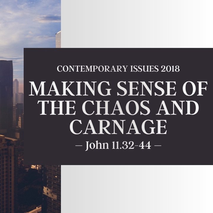Making Sense of the Chaos and Carnage | Contemporary Issues 2018 episode artwork