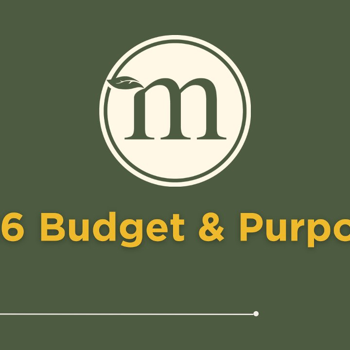 Budget Sunday 2026 episode artwork