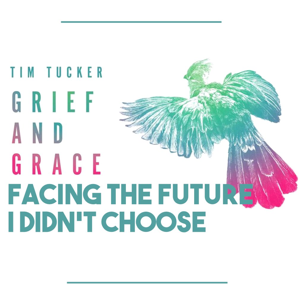Facing the future I didn't choose episode artwork
