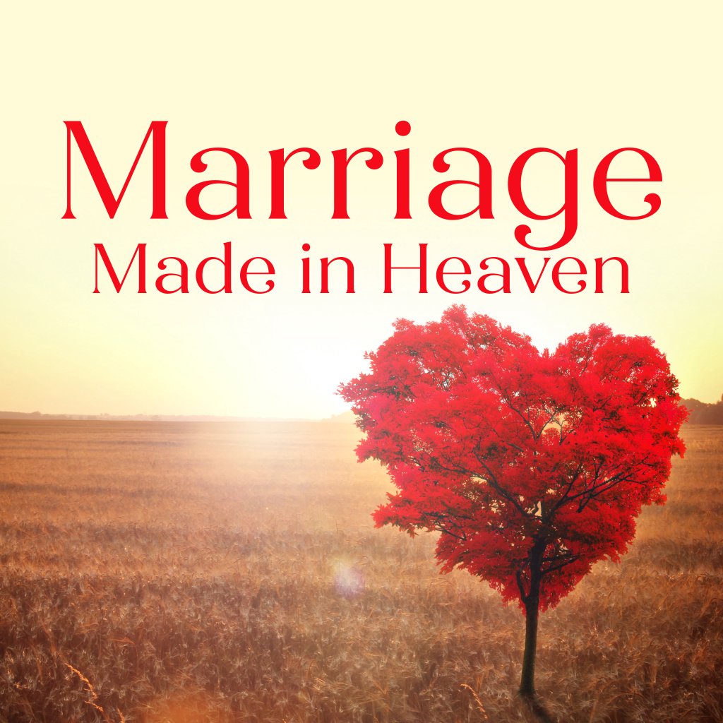 The Fire Starts Here The Fire Starts Here